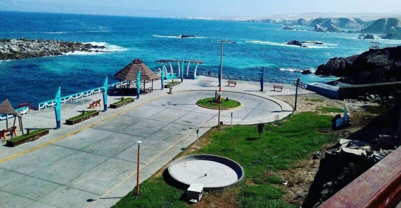 From Arequipa: Tacna South Pacific Guided Tour With Meals - Transportation and Group Size