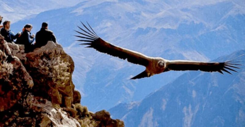From Arequipa: Tour to Chivay & Colca Canyon - Inclusions
