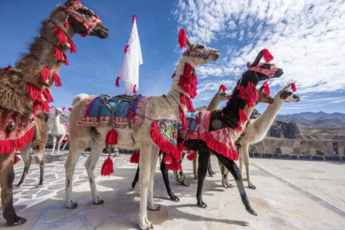 From Arequipa: Tour to Colca Canyon + Transfer to Cusco - Optional Activities and Costs