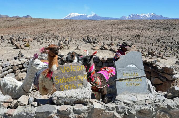 From Arequipa: Tour to Colca Canyon + Transfer to Cusco - Booking and Reservations