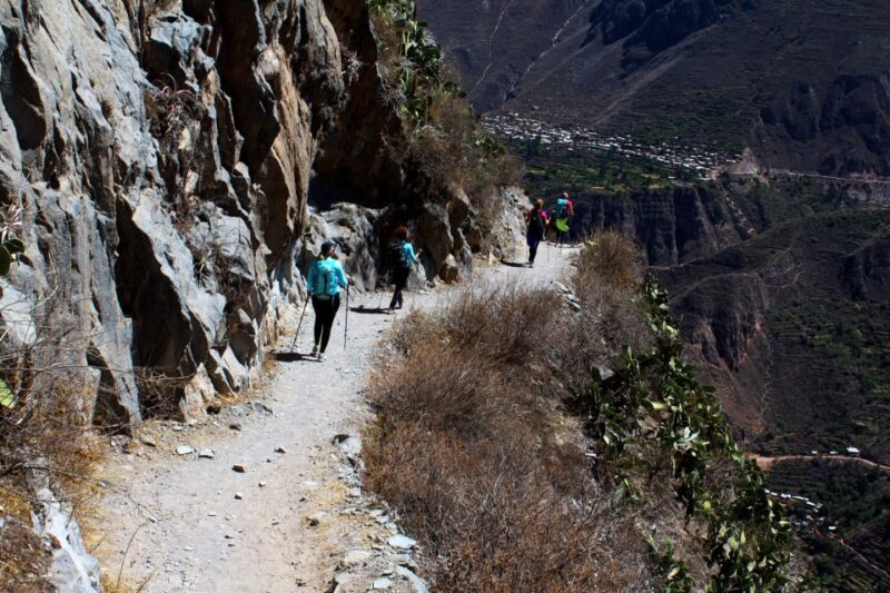 From Arequipa: Trekking to the Colca Canyon |2Days-1Night| - Key Points