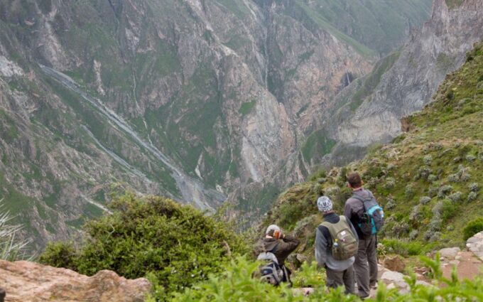 From Arequipa: Trekking to the Colca Canyon |2Days-1Night| - Sights and Activities on Day 2