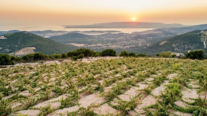 From Argostoli: Half-day Private Custom-made Tour - Customizable Experience