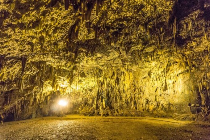 From Argostoli: Kefalonia Shore Excursion Highlights Tour - Agia Efimia