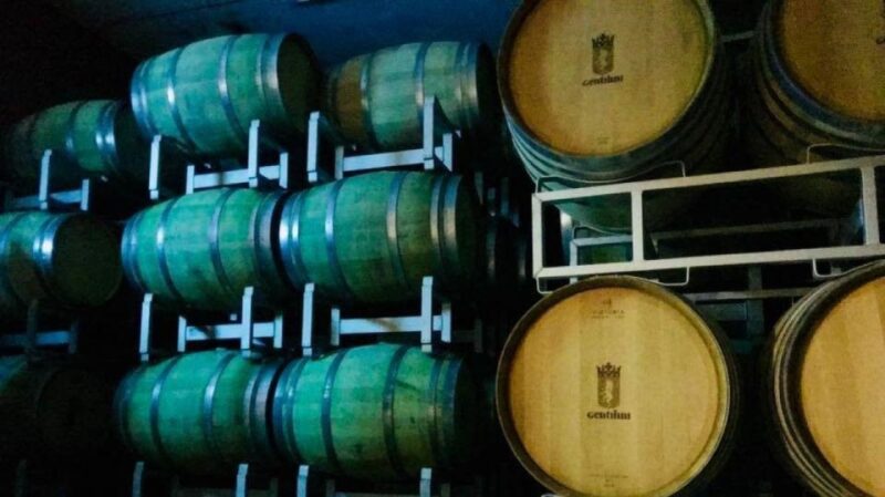 From Argostoli: Private Wine Tasting & Vineyard Tour - Key Points