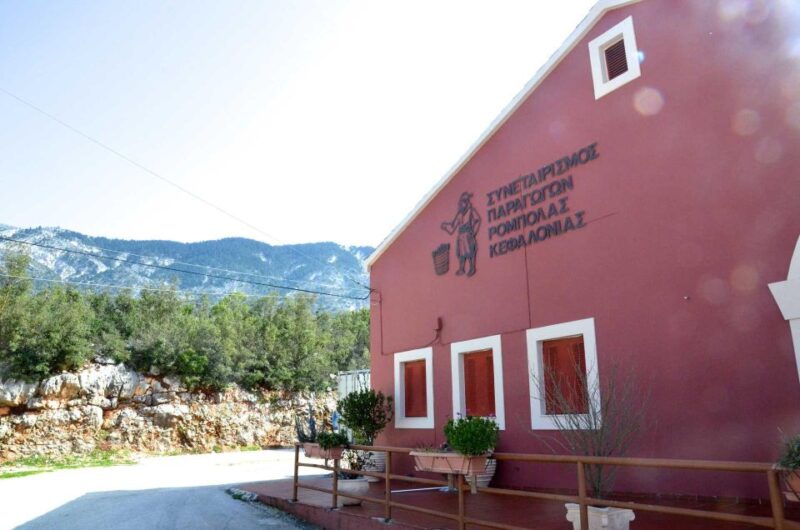 From Argostoli: Private Wine Tasting & Vineyard Tour - Highlights of the Private Wine Tour