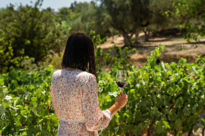 From Argostoli: Private Wine Tasting & Vineyard Tour - Learning About Local Wine Production