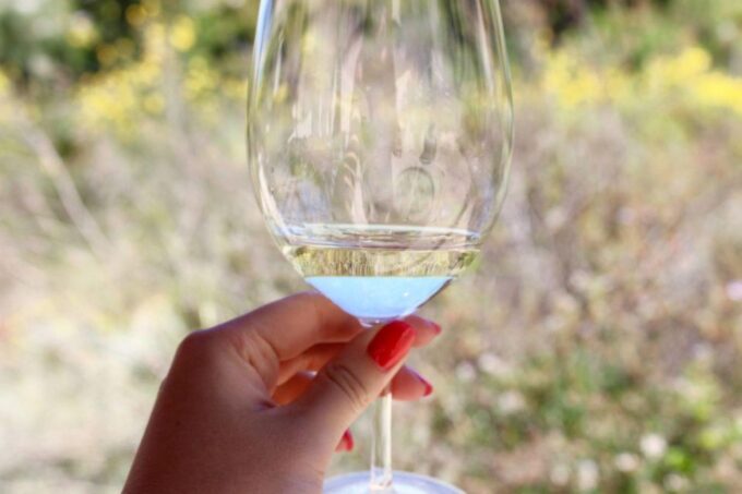 From Argostoli: Private Wine Tasting & Vineyard Tour - Hassle-free Private Tour Experience