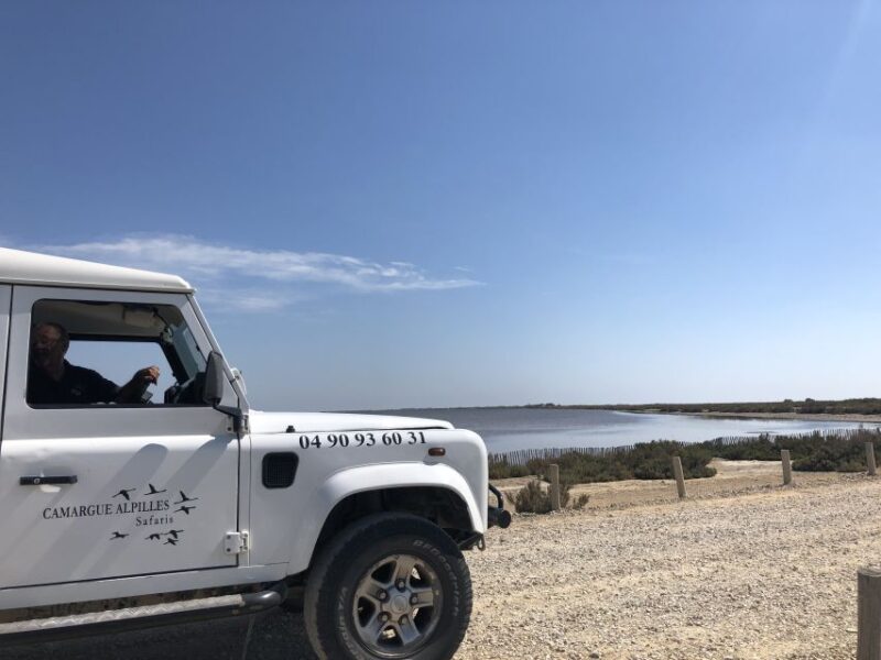 From Arles: Half-Day 4x4 Camargue Safari - Visiting Saintes Maries De La Mer
