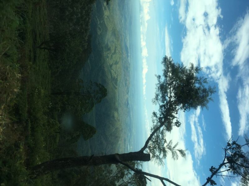 From Arugambay: Day Trip to Ella - Itinerary Highlights