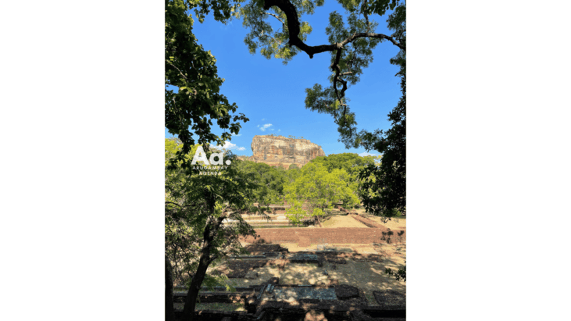 From Arugambay: Day-Trip to Sigiriya, The Lion Rock - Cultural Immersion