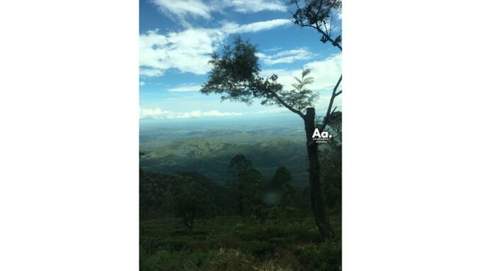 From Arugambay: Two Days In Highlands Tour - Return to Arugambay