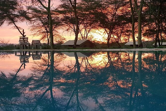From Arusha: 11 Days Famous Serengeti Inside Out Safari Trip - Overview of the Safari