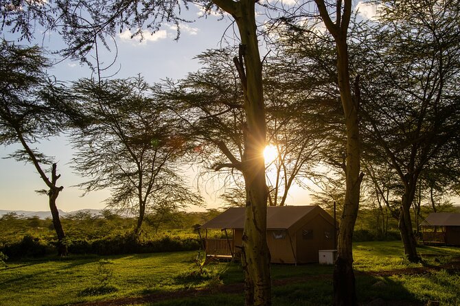 From Arusha: 5 Days Classic Safari Cats, Calves & Crater - Accommodations and Meals