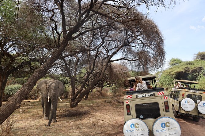 From Arusha: 9 Days Private Guided Classic Game Drive in Tanzania - Accommodation Options