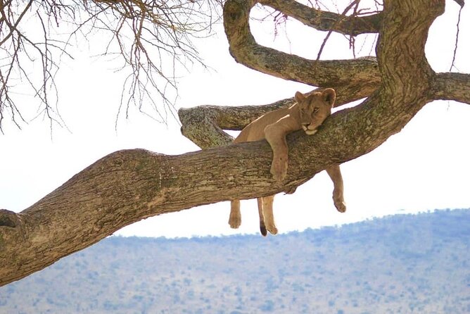 From Arusha: 9 Days Private Guided Classic Game Drive in Tanzania - Booking and Cancellation