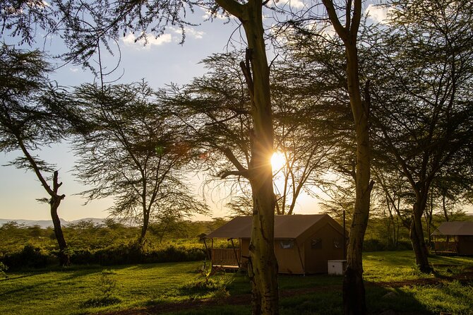 From Arusha: Private 2 Day Ngorongoro Crater and Tarangire Safari - Health and Safety Guidelines