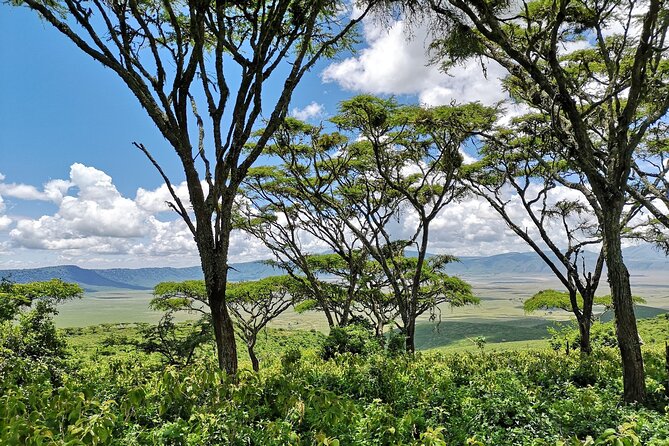 From Arusha: The Classics - Itinerary: Day 2