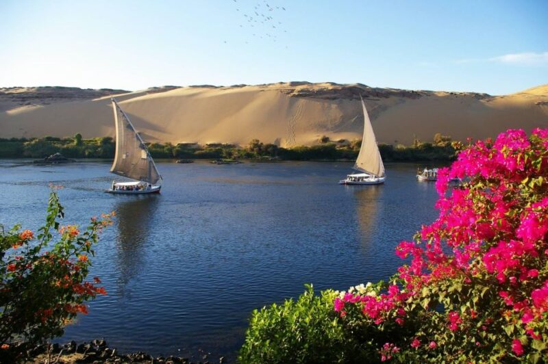 From Aswan: Private 2 Hours Felucca Ride on the Nile River - Tour Guide Insights