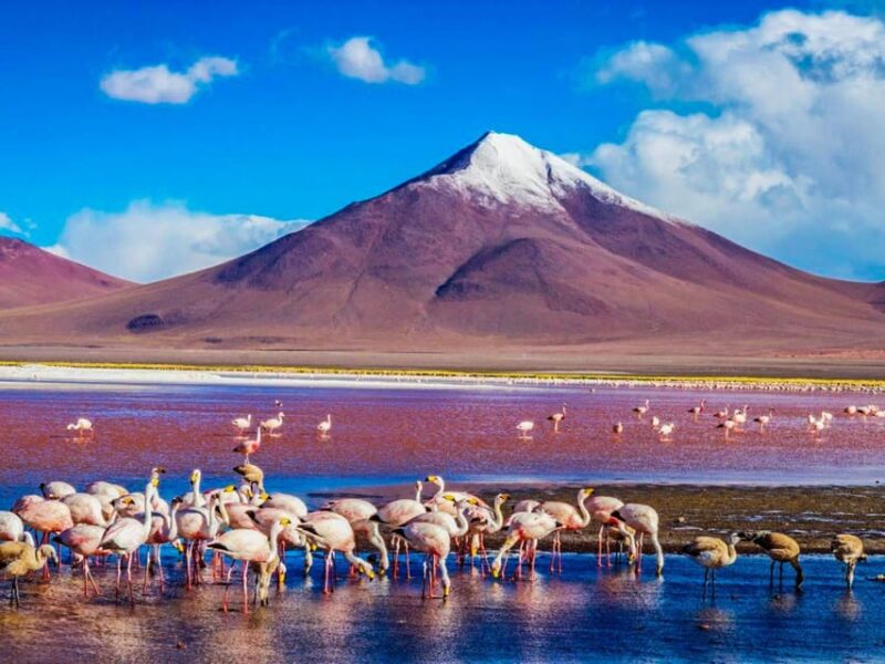 From Atacama | Salar De Uyuni 4 Days the Largest Salt Lake - Inclusions