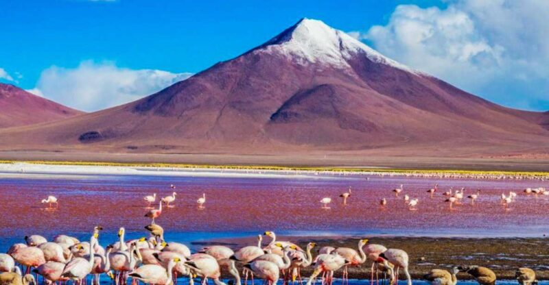 From Atacama | Uyuni Salt Flat 4 Days the Largest Salt Flat - Itinerary Highlights