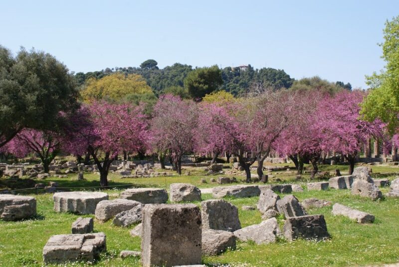 From Athens: 6-Day Peloponnese, Cog Railway & Zakynthos Tour - Vouraikos Canyon Cog Railway