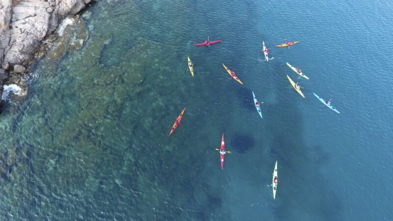 From Athens: Cape Sounion Guided Kayaking Tour With Lunch - Picking Up and Dropping Off