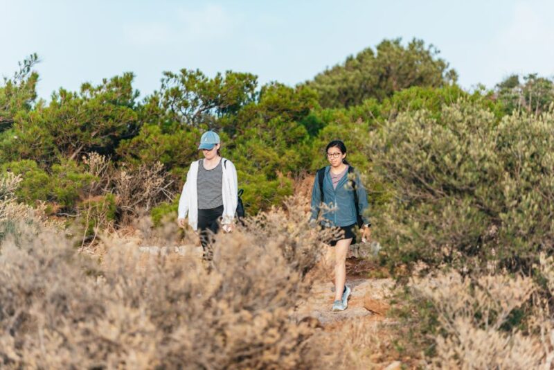 From Athens: Cape Sounion & Temple of Poseidon Half Day Tour - Highlights