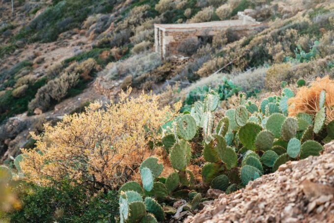 From Athens: Cape Sounion & Temple of Poseidon Half Day Tour - Guided Tour