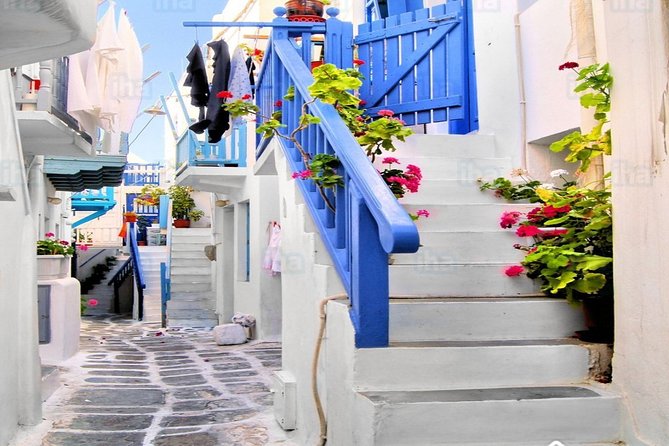 From Athens: Daily Tour to Mykonos - Tour Schedule and Timings