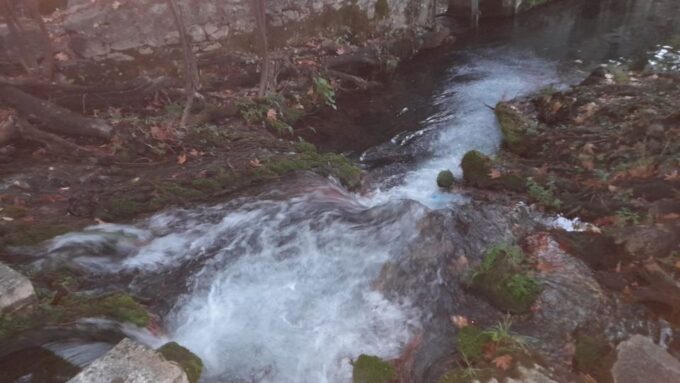 From Athens: Nafpaktos and Delphi Private Sightseeing Tour - Whats Included