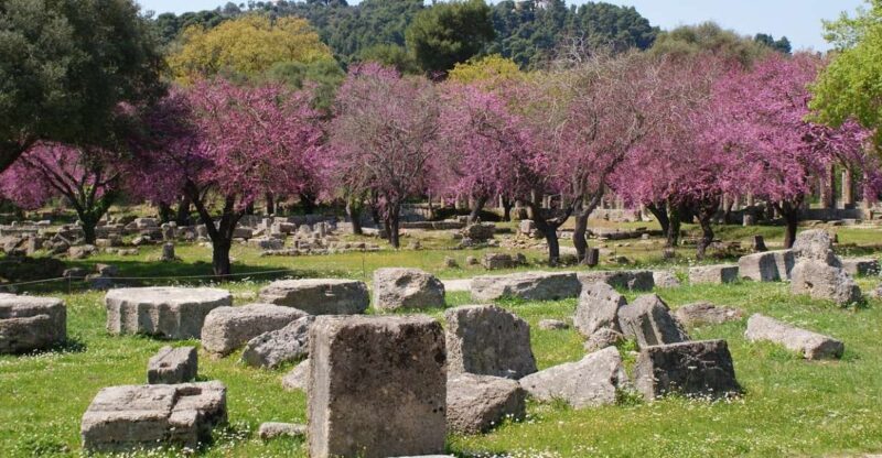From Athens: Private Day Trip to Ancient Olympia - Free Time in Olympia Town