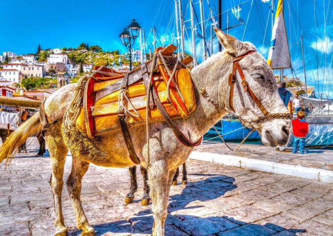 From Athens: Saronic Islands Full-Day Cruise With VIP Seats - Cancellation Policy