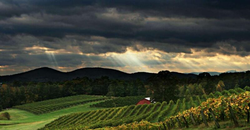 From Atlanta: North Georgia Wine Country Tour - Itinerary and Highlights