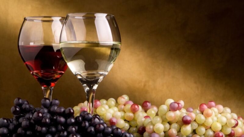 From Atlanta: North Georgia Wine Country Tour - Meeting Point and Logistics