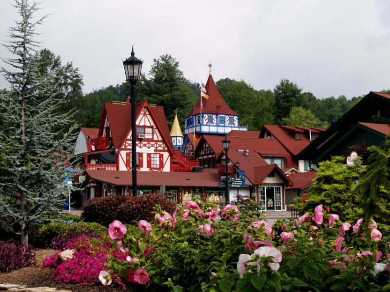 From Atlanta: North Georgia Wine Country Tour - Customer Ratings and Feedback