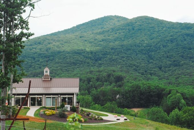 From Atlanta: North Georgia Wine Country Tour - Pricing and Availability