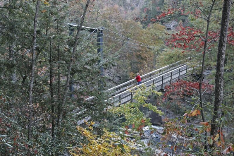 From Atlanta: Tullulah Falls Slingshot Self Guided Tour - Important Information