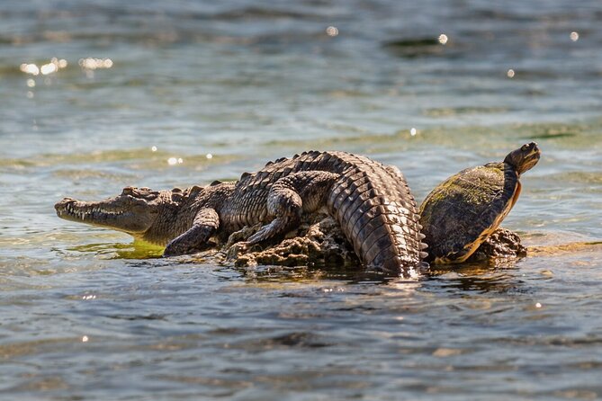 From Atlantic to Pacific Ocean Private Panama Canal & Jungle Tour - Lunch and Refreshments