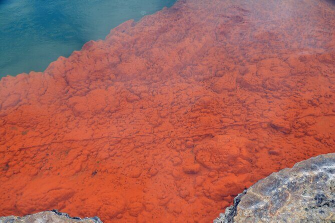 From Auckand: Waiotapu and Polynesian Spa Rotorua Day Tour - Wai-O-Tapu Thermal Wonderland: A Kaleidoscope of Geothermal Beauty