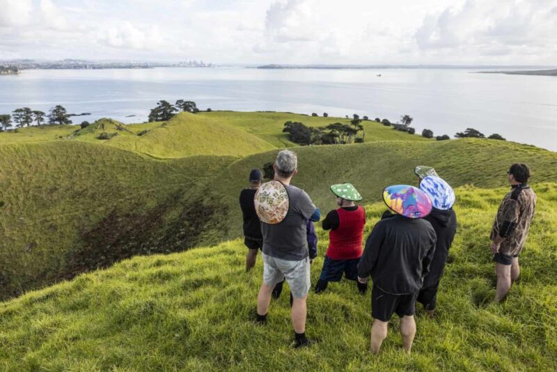 From Auckland: Browns Island Motukorea Sea Kayak Tour - Included in the Tour