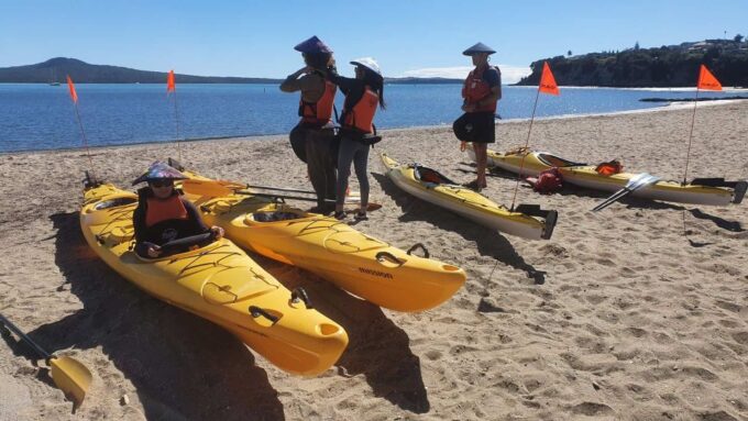 From Auckland: Browns Island Motukorea Sea Kayak Tour - Customer Reviews