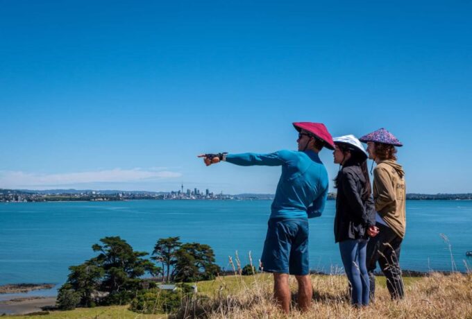 From Auckland: Browns Island Motukorea Sea Kayak Tour - Coastal Exploration