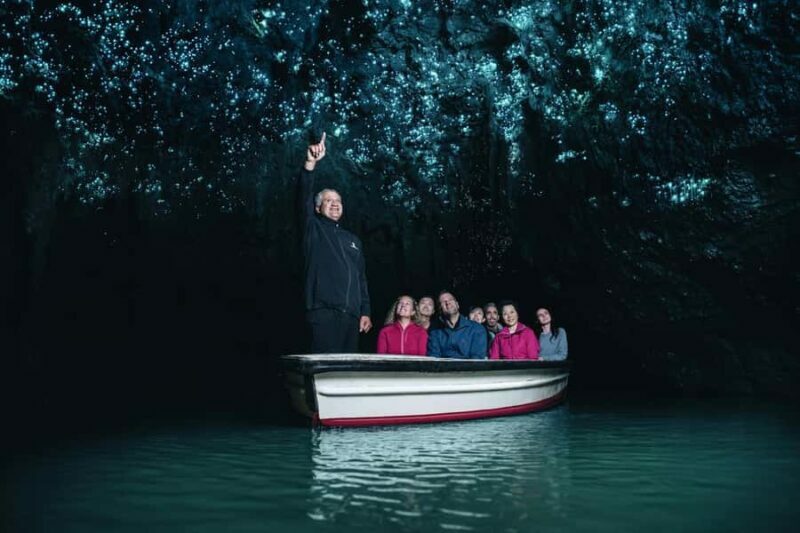 From Auckland: Day Trip to Waitomo Glow Worm Caves - An Introduction to the Experience