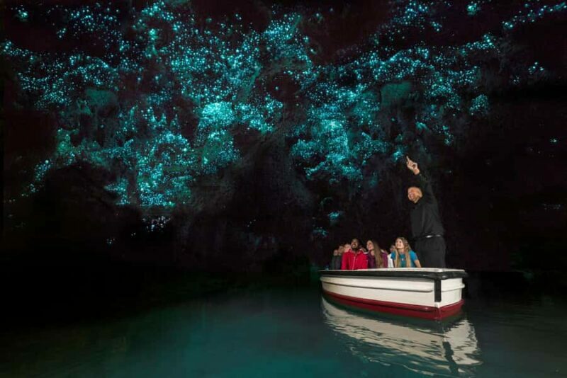 From Auckland: Day Trip to Waitomo Glow Worm Caves - The Value of This Tour