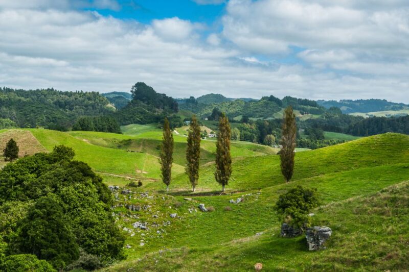 From Auckland: Hobbiton and Waitomo Day Tour With Lunch - Key Points