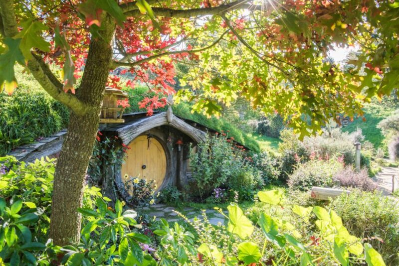 From Auckland: Hobbiton and Waitomo Day Tour With Lunch - Hobbiton Movie Set