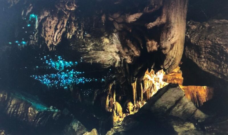 From Auckland: Hobbiton and Waitomo Day Tour With Lunch - Waitomo Glowworm Caves