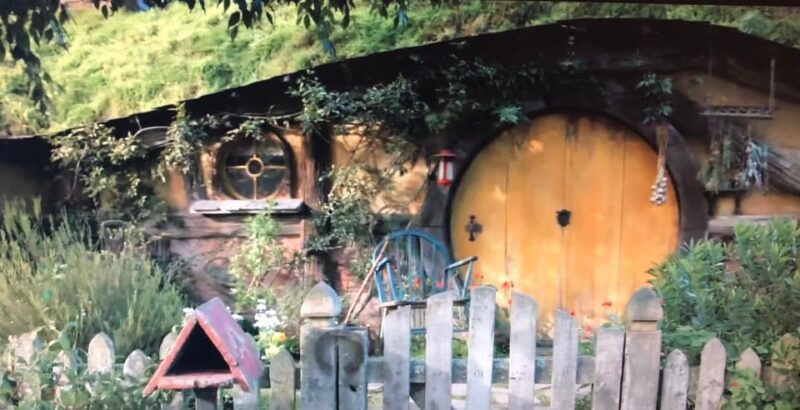 From Auckland: Hobbiton and Waitomo Day Tour With Lunch - Included Amenities