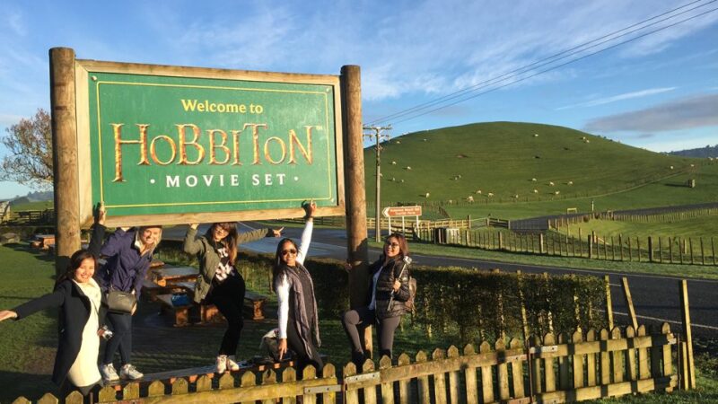 From Auckland: Hobbiton Movie Set Full-Day Trip - Customer Feedback